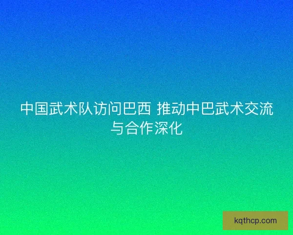中国武术队访问巴西 推动中巴武术交流与合作深化