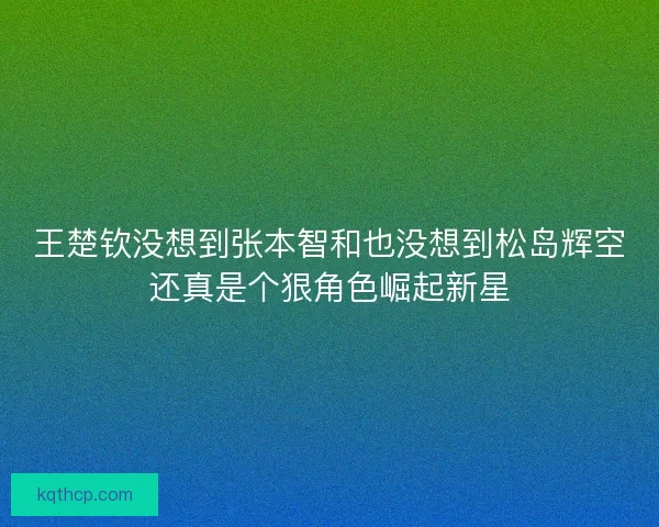 王楚钦没想到张本智和也没想到松岛辉空还真是个狠角色崛起新星