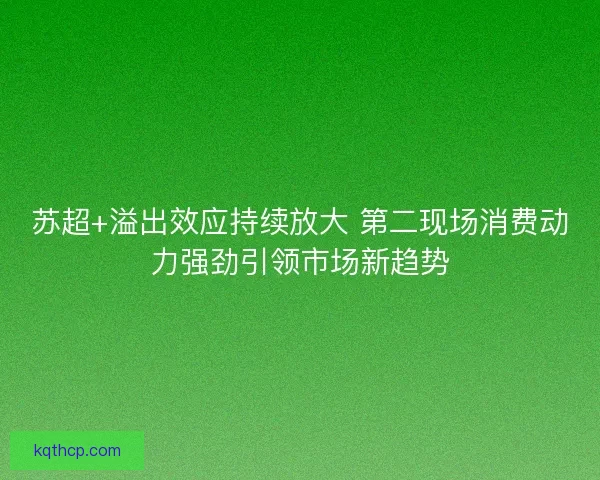 苏超+溢出效应持续放大 第二现场消费动力强劲引领市场新趋势